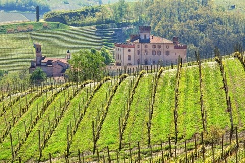 Inside Barolo - Exploring the Communes and Iconic Crus - Thursday 18th June 6pm-730pm