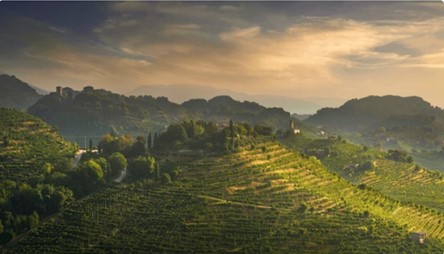 Veneto Tasting – Valpolicella & Soave - Thursday 26th February 2026 6pm - 730pm