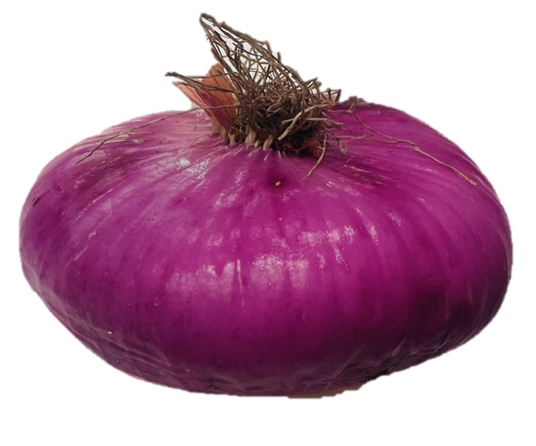 Italian Breme Onion EACH