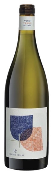 Trebbiano Rubicone IGT Amphore 2023 Umberto Cesari 75cl