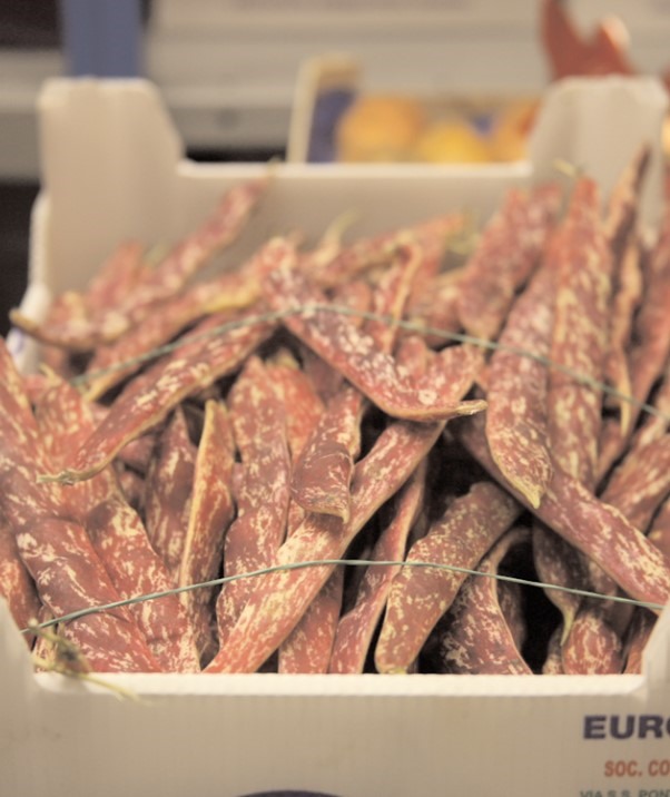 Fresh Borlotti Beans 1kg