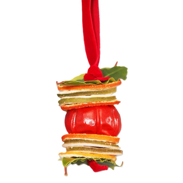 Mini Pumpino Pepper Hanger Pollyfields