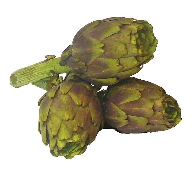Italian Tema Artichokes Carciofi x3