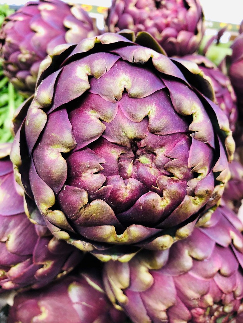 Large Mammole Artichoke Carciofi - EACH