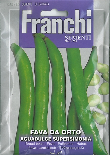 Broad Bean Fava Seeds Franchi