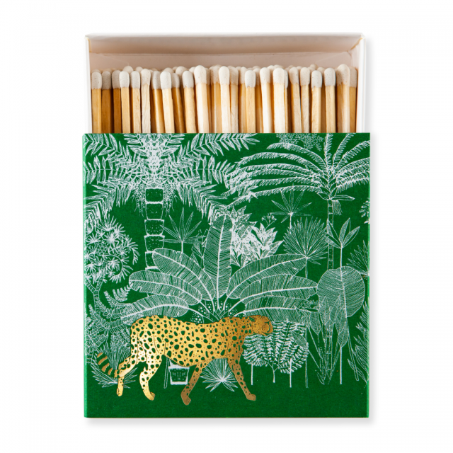 Cook Matches Cheetah in Jungle