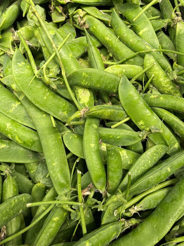 Italian Spring Green Peas Piselli Verdi 1kg