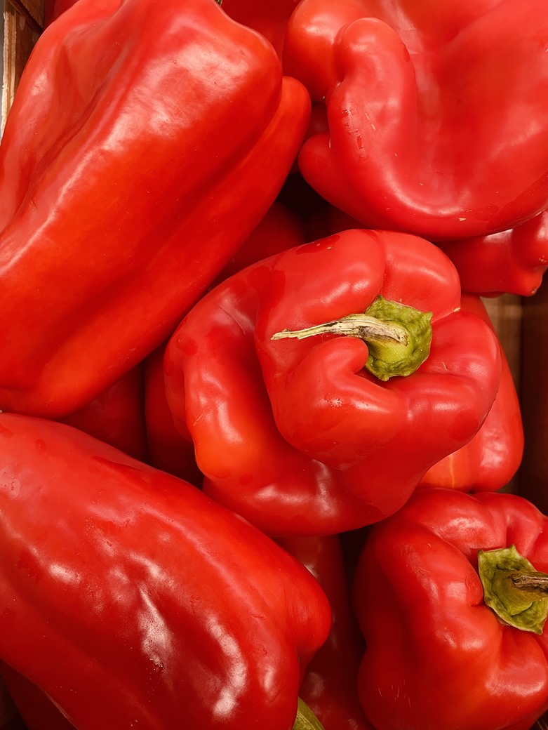 Italian Red Pepper EACH