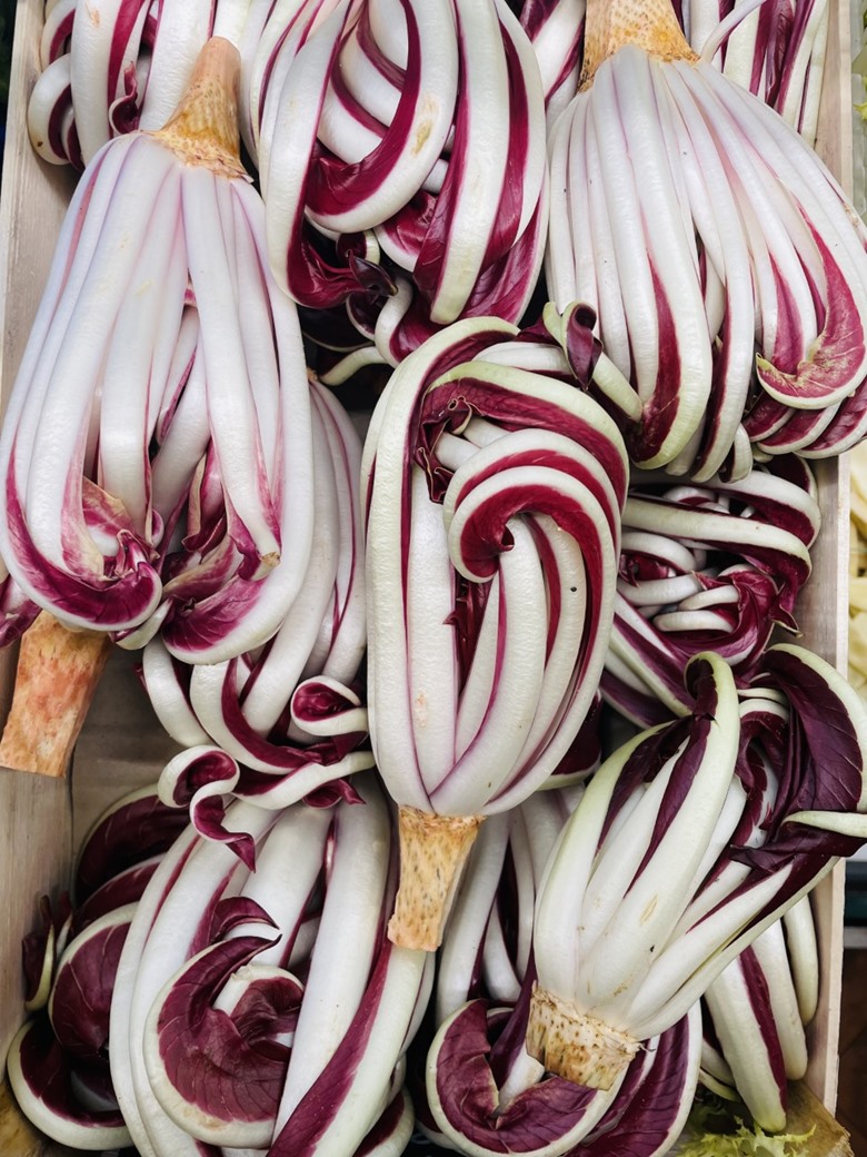 Radicchio Trevisana Tardiva EACH