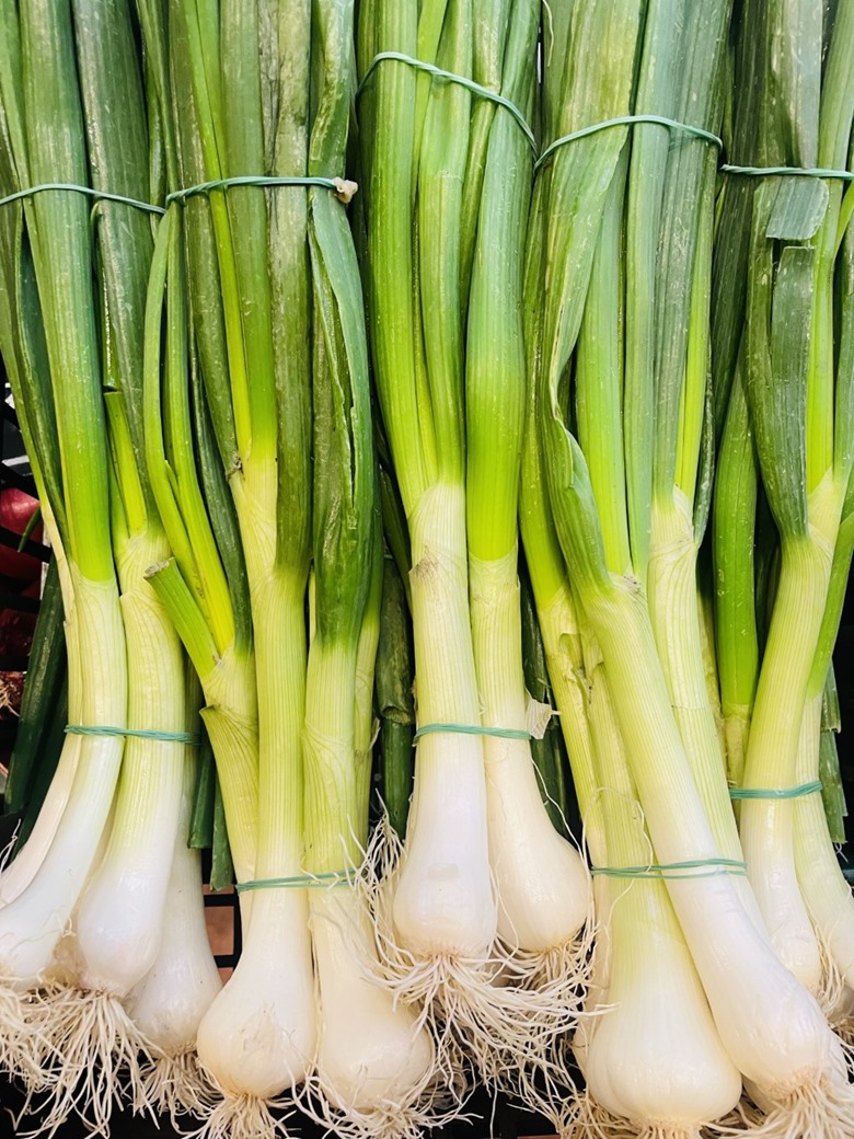 Italian Spring Onion BUNCH